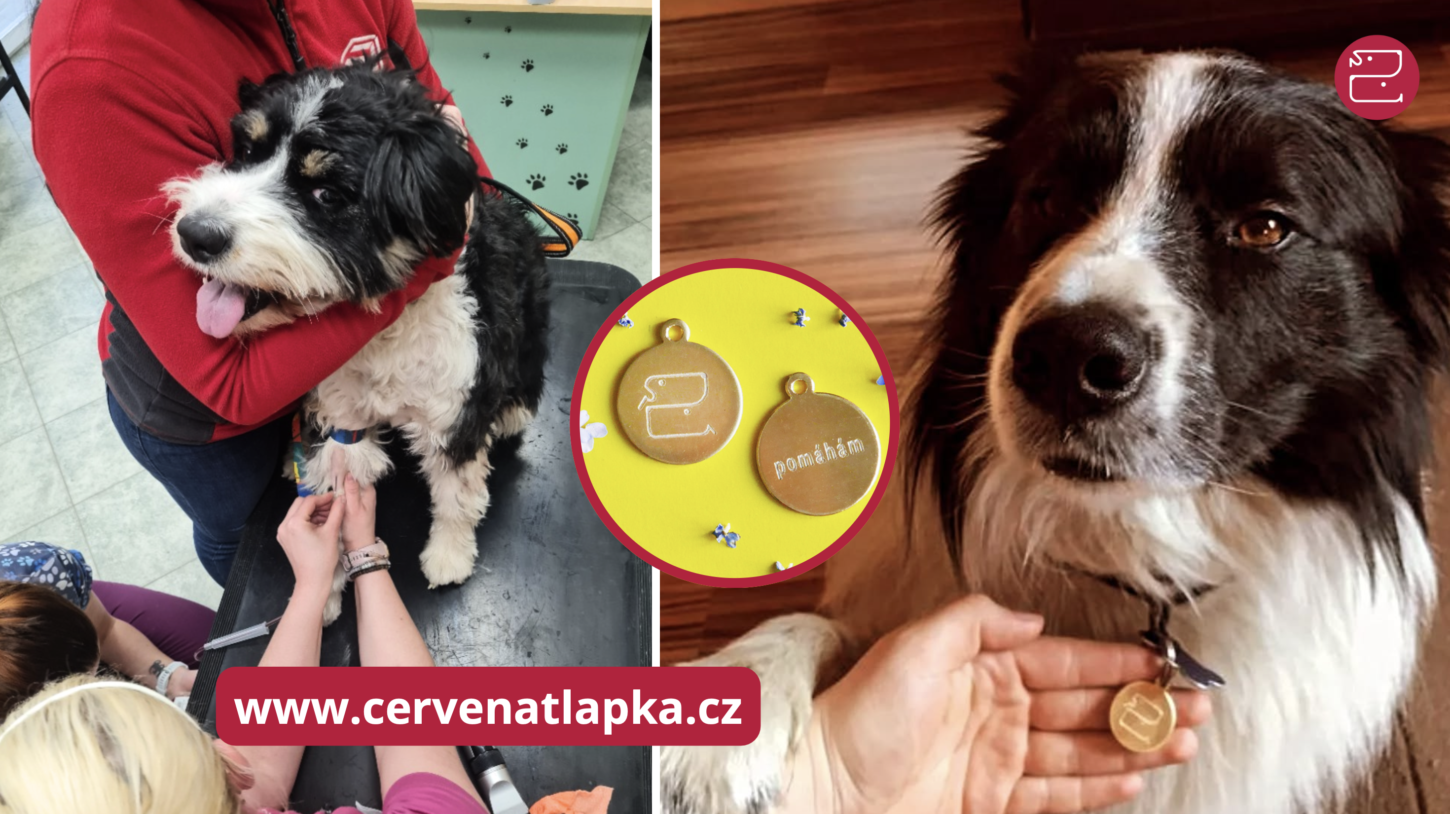 Snímek obrazovky 2025-12-09 v 22.01.44